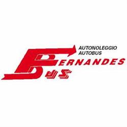 Autolinee Fernandes Aniello S.r.l, Pietravairano orari di apertura