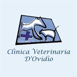 Clinica Veterinaria D Ovidio, Roma orari di apertura