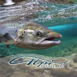 Alpi Fly Fishing Srl, Cossato orari di apertura
