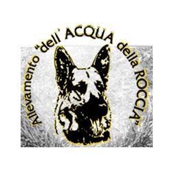 Allevamento del Pastore Tedesco dell'Acqua della Roccia dal 1979, Genova orari di apertura