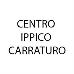 Centro Ippico Carraturo, Ottaviano orari di apertura