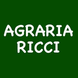 Agraria Ricci - Cereali e Granaglie, San Giovanni Valdarno orari di apertura