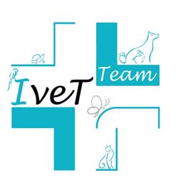 Centro Veterinario Ivet Team, Napoli orari di apertura