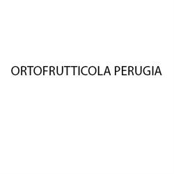 Ortofrutticola Perugia, orari di apertura