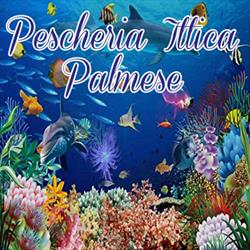 Pescheria Ittica Palmese, Palma di Montechiaro orari di apertura
