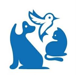 Ambulatorio Veterinario Morianese, Monte San quirico orari di apertura
