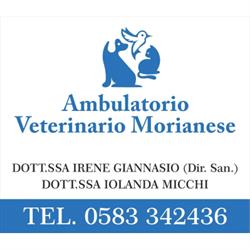 Ambulatorio Veterinario Morianese, Monte San quirico orari di apertura
