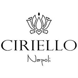 Camiceria Ciriello Napoli, Pollena Trocchia orari di apertura