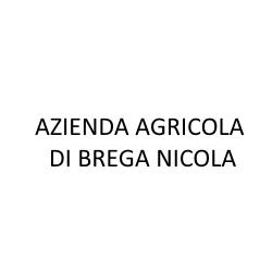 Azienda Agricola di Brega Nicola, Campospinoso orari di apertura