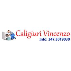 Caligiuri Vincenzo Vendita e Riparazioni Elettrodomestici, Lamezia Terme orari di apertura