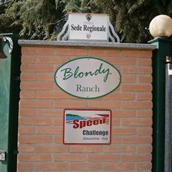 Allevamento Blondy, Uboldo orari di apertura