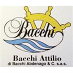 Bacchi Attilio di Bacchi Abdenago, Casalmaggiore orari di apertura