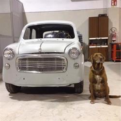 Carrozzeria Mondo Srl, Verolavecchia orari di apertura