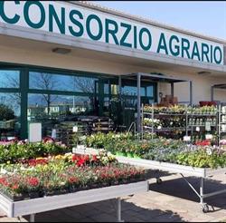 tuttoGIARDINO Conegliano, orari di apertura