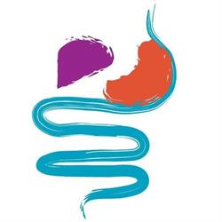 Prof. Marcello Maida - Gastroenterologo, Epatologo, Caltanissetta orari di apertura
