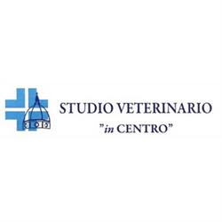 Studio Veterinario Associato in Centro, Firenze orari di apertura