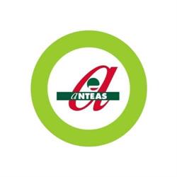 Anteas - Presidenza Nazionale, Roma orari di apertura