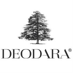 DEODARA, Bassano del Grappa orari di apertura