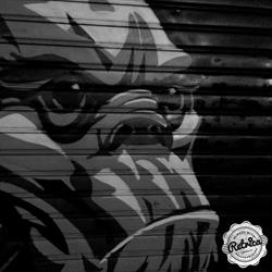 MONKEY PUB, Palermo orari di apertura