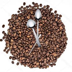cafe 23, Crema orari di apertura