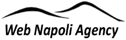 Web Napoli Agency di Alessandro Di Somma, orari di apertura
