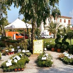 Vivaio Cooperativa Sociale Agricola - Un Fiore Per Tutti ONLUS, Pistoia orari di apertura
