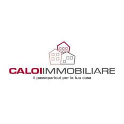 Caloi Immobiliare, San Giovanni Lupatoto orari di apertura