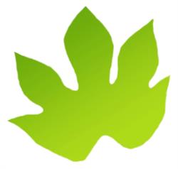 Firmiana Srl, Civita Castellana orari di apertura