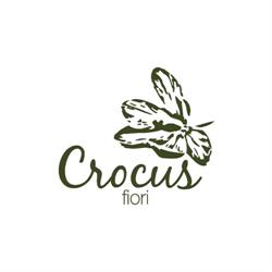 Crocus Fiori, Terni orari di apertura