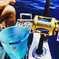 Hobby Fish La Spezia, orari di apertura