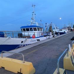 Pescheria La Boutique Del Pesce Di Urbinelli Daniele, Valmontone orari di apertura