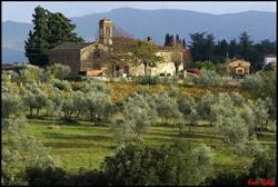 Azienda Agricola Panella Valentino, San Casciano in Val di Pesa orari di apertura