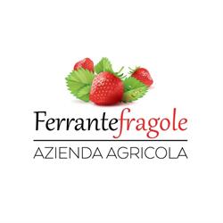 Soc. Agr. Ferrante Fragole, Terracina orari di apertura