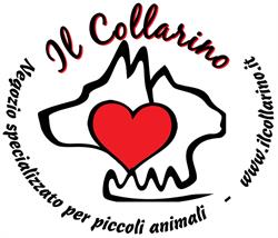 Il collarino, Torino orari di apertura
