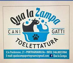Qua la Zampa, Portogruaro orari di apertura