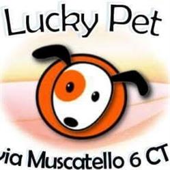 Lucky Pet, Catania orari di apertura