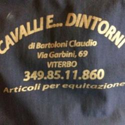 Cavalli e Dintorni Viterbo, orari di apertura