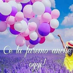 Carta In Festa Albano Laziale, Pavona - Orari di apertura