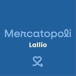 Mercatopoli Lallio, orari di apertura