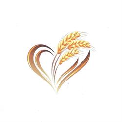 Pane & Fantasia, Rosignano Solvay orari di apertura