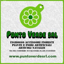 Punto Verde Srl, Falconara Marittima orari di apertura