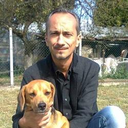 Chiodi Geom. Luca, Lendinara orari di apertura