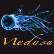 Medusa Ristorante Pizzeria Griglieria "Giro Pesce", Brugherio orari di apertura