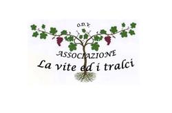 ASSOCIAZIONE LA VITE ED I TRALCI O.D.V., Bergamo orari di apertura