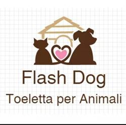 Flash Dog Toeletta E Alimenti per animali, Roma orari di apertura