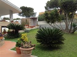 Acquamarina, Civitavecchia orari di apertura