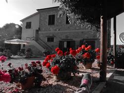 Oliveto Agriturismo - Giovani Marini Luana, Venturina orari di apertura