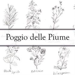 Poggio delle Piume, Orgiano orari di apertura