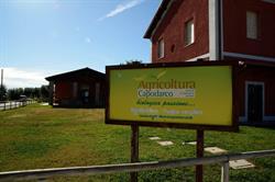 Agricoltura Capodarco - Mistica, Roma orari di apertura