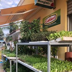 BIO AGRIPUGLIA DI GIUSEPPE RAHO, Sava orari di apertura